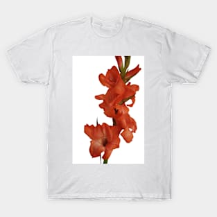 Red Gladioli T-Shirt